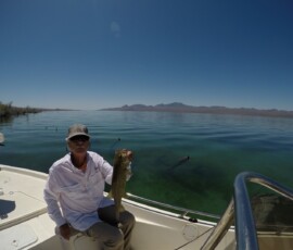 Lake Mohave Photos 45 DCIM100GOPROGOPR1599.JPG