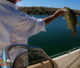 Lake Mohave Photos 3 Bass-Fishing-Lake-Mohave-Hero9-04-19-2021