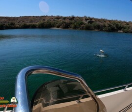 Lake Mohave Photos 2 Bass-Fishing-Lake-Mohave-Hero9-04-19-2021-Jumping