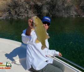 Lake Mohave Photos 36 Bass-Fishing-Lake-Mohave-March-28-2021