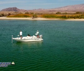 Lake Mohave Photos 55 Bass-Fishing-Near-Cottonwood-Cove