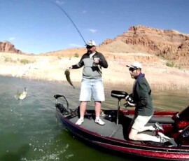 Lake Mohave Photos 70 bass_boat_fishing