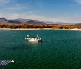 Lake Mohave Photos 40 Cottonwood-Aerial-Spark-10-16-2019-Pat-Paulette