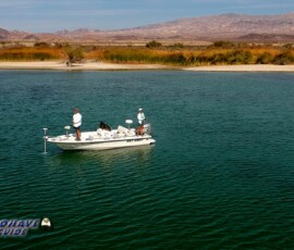 Lake Mohave Photos 41 Cottonwood-Aerial-Spark-10-16-2019-Paulette-Pat