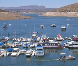 Lake Mohave Photos 27 elephantbutte0003