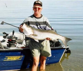 Lake Mohave Photos 71 jimhoughelephantbuttenmwstriper