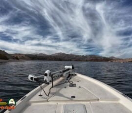 Lake Mohave Photos 24 Lake-Mohave-Action4-11-11-2025_000022_01-scaled