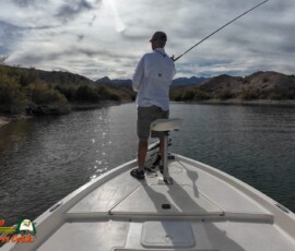Lake Mohave Photos 22 Lake-Mohave-Action4-11-11-2025_000411_04-scaled