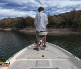 Lake Mohave Photos 21 Lake-Mohave-Action4-11-11-2025_000459_05-scaled