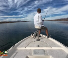 Lake Mohave Photos 19 Lake-Mohave-Action4-11-11-2025_000536_07-scaled