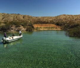 Lake Mohave Bass Fishing 03-28-2021