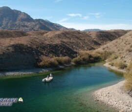 Lake-Mohave-Bass-Fishing-11-13-2019