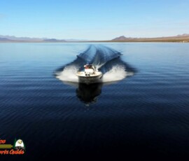 Lake Mohave Photos 39 Lake-Mohave-Bass-Fishing-Anafi-03-18-2021