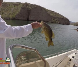 Lake Mohave Photos 48 Lake-Mohave-Bass-Fishing-Anafi-03-31-2020