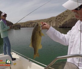 Lake-Mohave-Bass-Fishing-Anafi-Minn-Kota-Columbia-04-16-2020