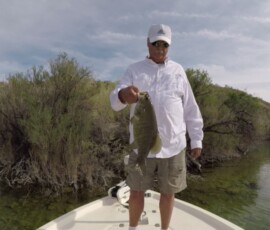 Lake Mohave Photos 58 Lake-Mohave-Island-Pocket-Small-April-2019