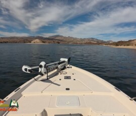 Lake Mohave Photos 18 Lake-Mohave-October-Boat-Picnic-Action5-10-24-2024_000056_03