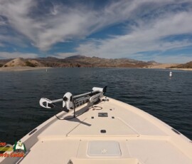 Lake Mohave Photos 17 Lake-Mohave-October-Boat-Picnic-Action5-10-24-2024_000107_04
