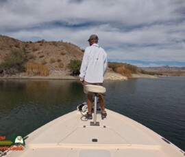 Lake Mohave Photos 7 Lake-Mohave-October-Boat-Picnic-Action5-10-24-2024_001028_17