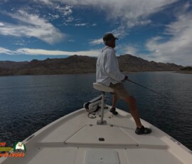 Lake Mohave Photos 5 Lake-Mohave-October-Boat-Picnic-Action5-10-24-2024_001118_19