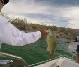 Lake Mohave Photos 57 Lake-Mohave-Smallmouth-Bass-Fishing-4-10-2019