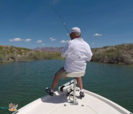 Lake Mohave Photos 60 Long-Bank-Big-Pocket