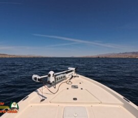 Lake Mohave Photos 8 Mid-April-Smallmouth-AcePro2-04-14-2025_000040_02