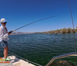 Lake Mohave Photos 11 Mid-April-Smallmouth-AcePro2-04-14-2025_000108_04