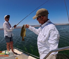 Lake Mohave Photos 16 Mid-April-Smallmouth-AcePro2-04-14-2025_000143_07