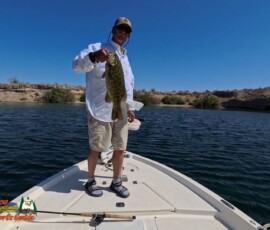 Lake Mohave Photos 26 Mid-April-Smallmouth-AcePro2-04-14-2025_000254_12