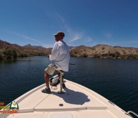 Lake Mohave Photos 7 Mid-April-Smallmouth-AcePro2-04-14-2025_000322_13