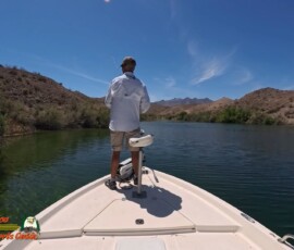 Lake Mohave Photos 9 Mid-April-Smallmouth-AcePro2-04-14-2025_000409_14