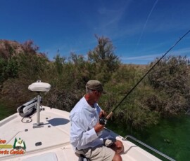 Lake Mohave Photos 15 Mid-April-Smallmouth-AcePro2-04-14-2025_000453_19