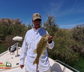 Lake Mohave Photos 29 Mid-April-Smallmouth-AcePro2-04-14-2025_000514_20
