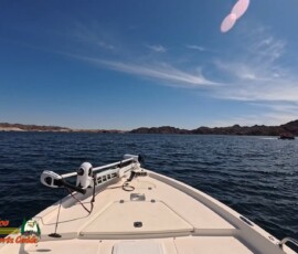 Lake Mohave Photos 27 Mid-April-Smallmouth-AcePro2-04-14-2025_000618_21