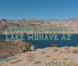 Princess-Cove-Lake-Mohave-Spark-10-13-2019
