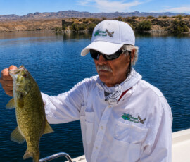 Lake Mohave Photos 1 Pat Colorado River Guide Lake Mohave Smallmouth Bass 04 07 2021